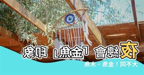 夜總會 金魚